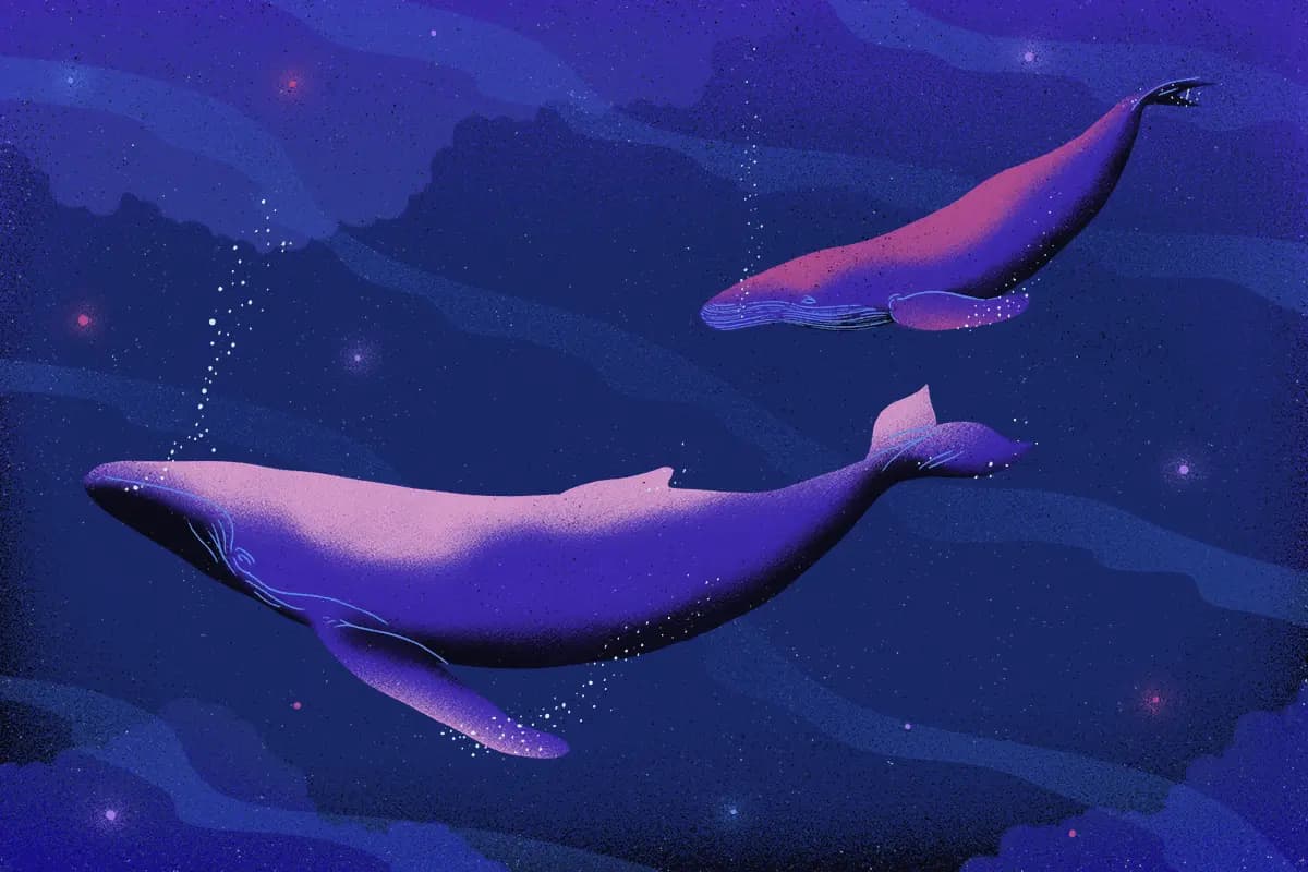 Top 10 Things to Try in Your Next Lucid Dream